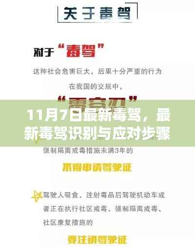 最新毒驾识别与应对步骤指南（初学者与进阶用户必读）