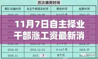揭秘自主择业干部涨薪动态,最新消息与全面解读涨工资背后的故事(11月7日更新)