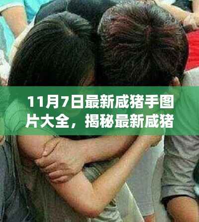 关于我们 第387页