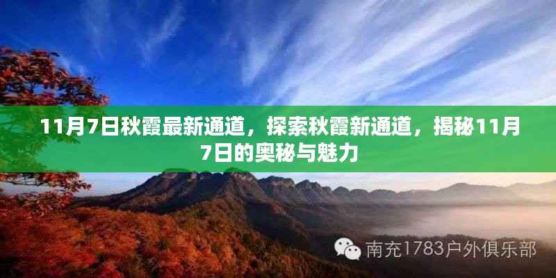 揭秘秋霞新通道,探索奥秘与魅力,尽在11月7日