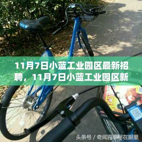 11月7日小蓝工业园区新招聘启事,变化与成长,学习与自信的力量
