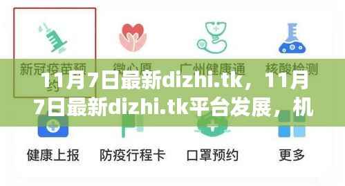 11月7日最新dizhi.tk平台，机遇与挑战并存的发展之路