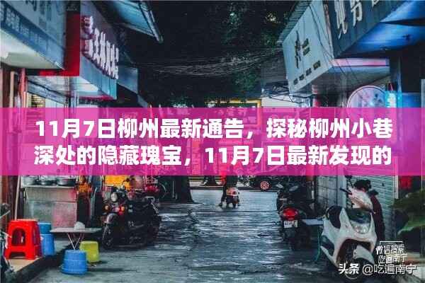 探秘柳州小巷深处的隐藏瑰宝,最新发现特色小店(11月7日柳州最新通告)
