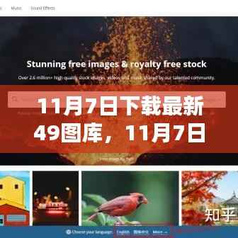 探索图片宝藏,最新49图库下载推荐(11月7日)
