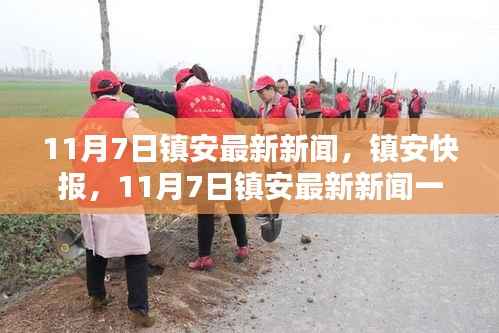镇安快报,最新新闻一览(11月7日)