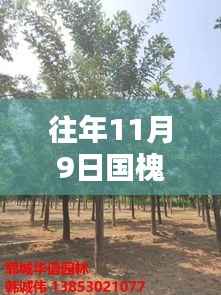 关于我们 第370页