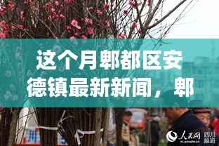 联系我们 第370页