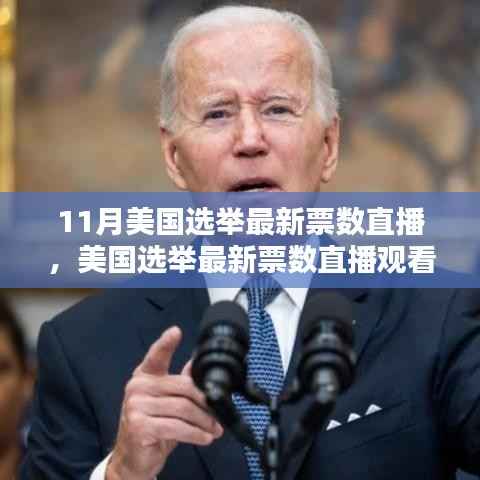 11月美国选举最新票数直播,全方位指南追踪选举结果