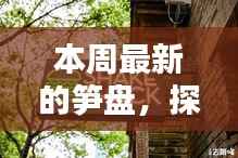 文质彬彬 第15页