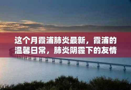 霞浦肺炎最新动态，温馨日常与友情陪伴
