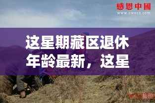 藏区退休年龄最新动态,观点阐述与解析