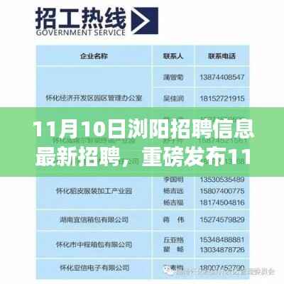 11月10日浏阳最新高科技招聘,引领生活革新,科技梦想实现