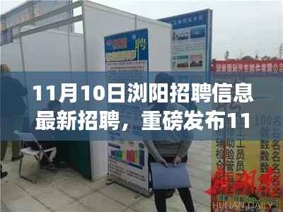 11月10日浏阳最新高科技招聘,引领生活革新,科技梦想实现