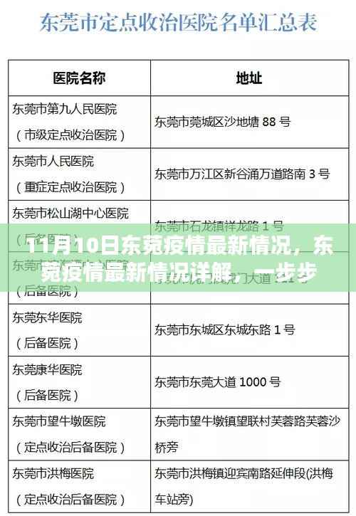 11月10日东菀疫情最新情况详解,了解与应对的步骤
