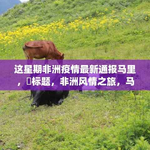 非洲疫情最新通报马里,马里疫情下的自然秘境探险之旅