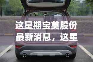 宝莫股份最新动态及前景展望,深度解析与消息速递