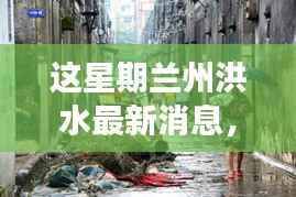 虎视眈眈 第17页