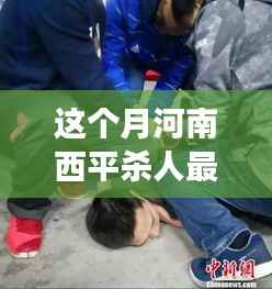 河南西平最新杀人案全面解析,案件进展与应对方法揭秘
