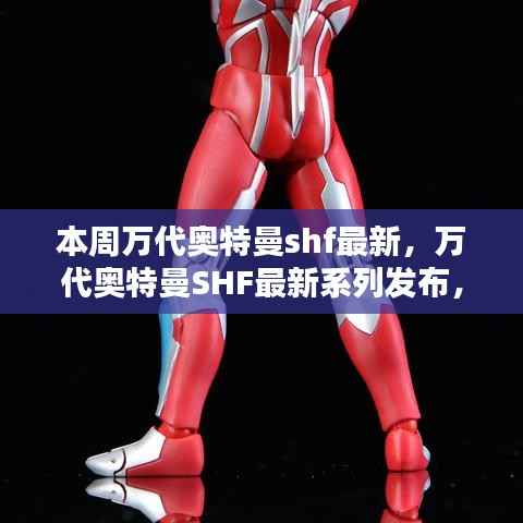 文质彬彬 第13页