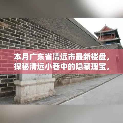 清远最新楼盘探秘,小巷隐藏瑰宝与独特小店全攻略