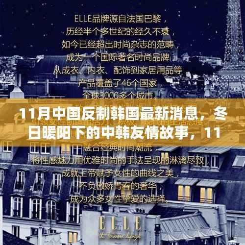 中韩关系风云再起,冬季反制新动向与友情故事中的微妙变化