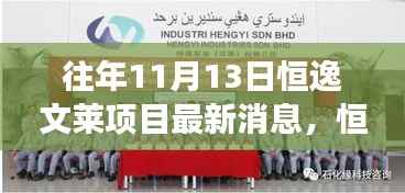 恒逸文莱项目最新进展及深远影响揭秘,十一月十三日更新消息速递