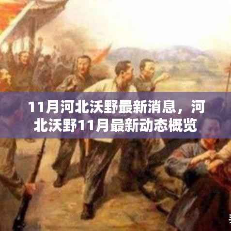 河北沃野11月最新动态概览,河北沃野十一月消息一览