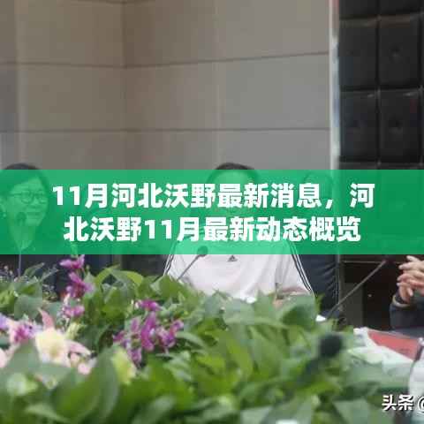 河北沃野11月最新动态概览,河北沃野十一月消息一览