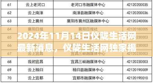肝胆相照 第15页