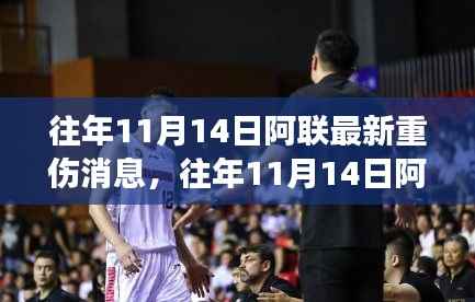 往年11月14日阿联重伤最新消息,全面解读、特性体验、竞品对比与用户洞察