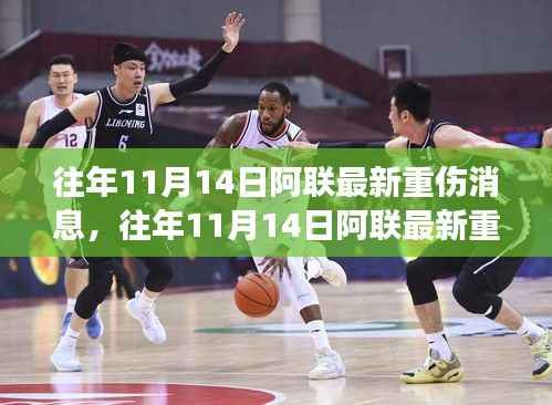 往年11月14日阿联重伤最新消息,全面解读、特性体验、竞品对比与用户洞察