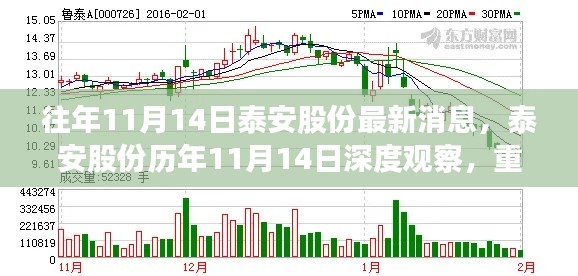 泰安股份历年11月14日深度观察,重大事件回顾与领域地位重塑的历程梳理