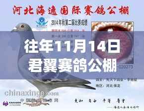 揭秘往年11月14日君翼赛鸽公棚的最新公告动态