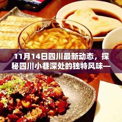 探秘四川小巷深处的独特风味,最新动态揭秘四川(11月14日更新)