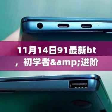 关于11月14日91最新bt使用指南的探讨与警示,涉及非法活动的风险及应对建议