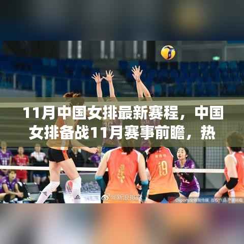 中国女排备战11月赛事前瞻,热血赛程揭秘与期待的目光