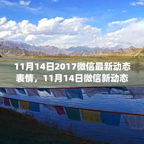 风驰电掣 第14页