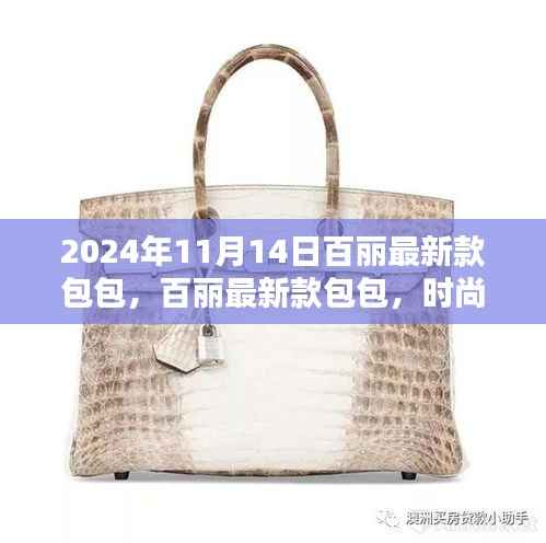 百丽最新款包包,时尚魅力的终极体现(2024年11月14日)