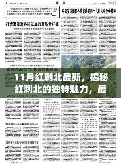 揭秘红刺北的独特魅力,最新研究进展与发现(11月版)