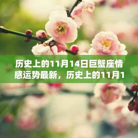 历史上的11月14日巨蟹座情感运势深度解析与最新运势展望