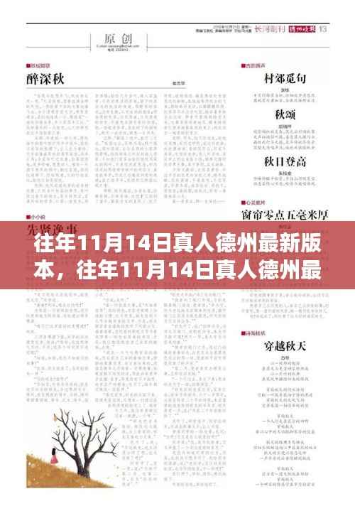 往年11月14日真人德州最新版本的全面评测与介绍