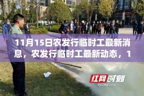 11月15日农发行临时工最新消息,农发行临时工最新动态,11月15日的行业焦点事件及其深远影响
