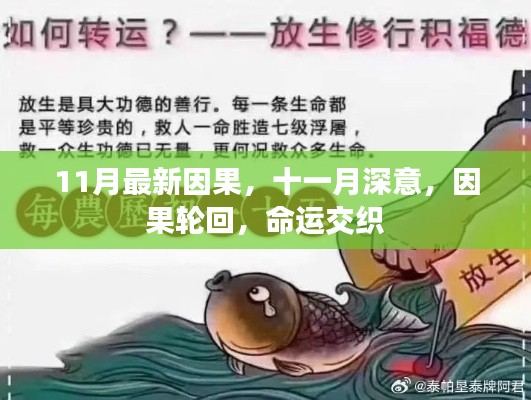 十一月深意,因果轮回与命运交织的旋律