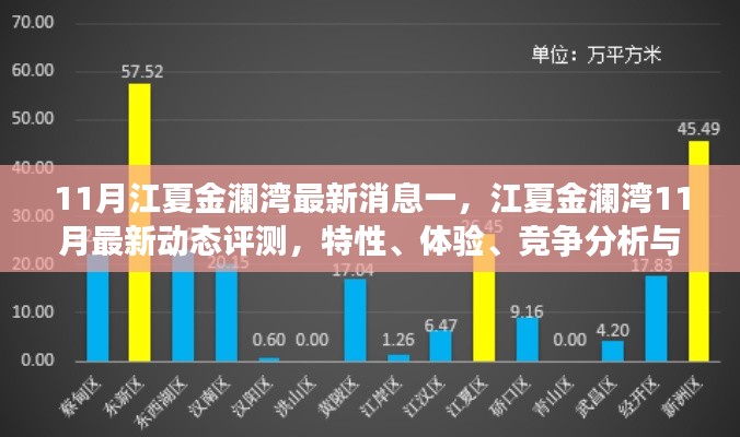 江夏金澜湾11月最新动态揭秘,特性、体验、竞争分析与用户群体深度剖析