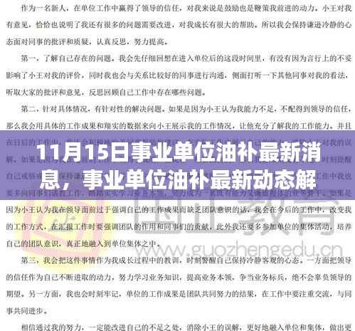 事业单位油补最新动态解析,产品特性、用户体验与目标用户分析(最新消息)
