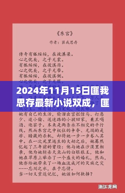 匪我思存最新小说双成阅读指南及发布日期揭晓,2024年11月15日版发布