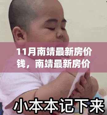 11月南靖房价最新动态,市场走势揭秘与购房指南