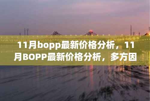 11月BOPP价格分析,多方因素考量与观点碰撞