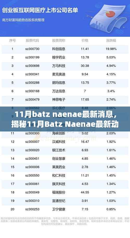 揭秘Batz Naenae的十一月最新动态,三大要点深度解析