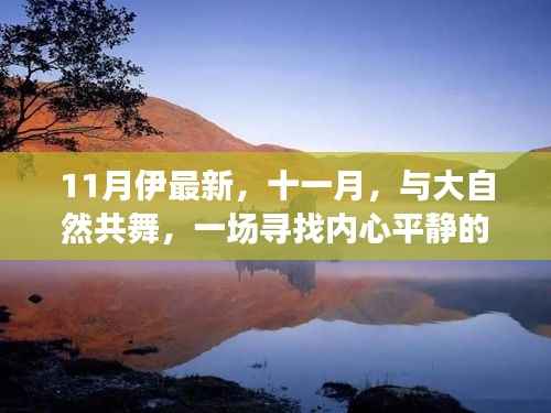 十一月心灵之旅,与大自然的共舞,寻找内心平静的奇妙探险